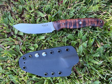 Load image into Gallery viewer, Arcas Curly Koa wood Handle