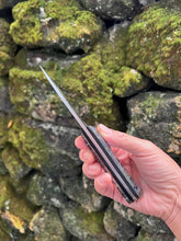 Load image into Gallery viewer, EDC Skinner_Paua handle
