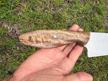 Load image into Gallery viewer, 8"Chef_Mango wood handle
