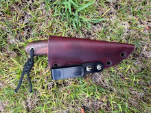 Load image into Gallery viewer, Chicken Hunter_Koa wood handle
