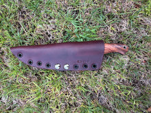 Load image into Gallery viewer, Classic Hunter_Koa wood handle