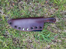 Load image into Gallery viewer, EDC Skinner Koa wood handle
