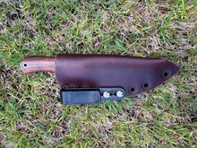 Load image into Gallery viewer, EDC Skinner Koa wood handle
