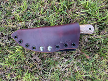 Load image into Gallery viewer, EDC Skinner_Mango wood handle (B)