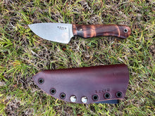 Load image into Gallery viewer, EDC Skinner_Curly Koa wood handle