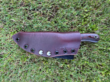 Load image into Gallery viewer, EDC Skinner_Koa wood handle