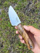 Load image into Gallery viewer, EDC Skinner_Mango wood handle