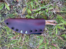 Load image into Gallery viewer, EDC Skinner_Mango wood handle