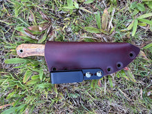 Load image into Gallery viewer, EDC Skinner_Mango wood handle