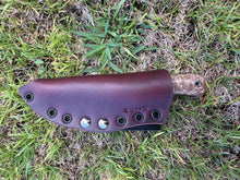 Load image into Gallery viewer, EDC Skinner_Mango wood handle (B)