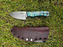 Load image into Gallery viewer, EDC Skinner_Paua handle