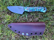 Load image into Gallery viewer, EDC Skinner_Paua handle
