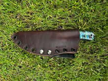 Load image into Gallery viewer, EDC Skinner_Paua handle