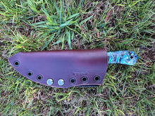 Load image into Gallery viewer, EDC Skinner_Paua handle