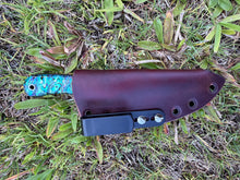 Load image into Gallery viewer, EDC Skinner_Paua handle