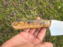 Load image into Gallery viewer, Kitchen Rebel_Mango wood handle