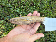 Load image into Gallery viewer, Nakiri_Mango wood handle (B)