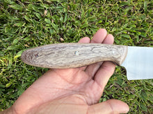 Load image into Gallery viewer, Santoku_Mango wood handle (B)