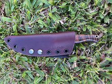 Load image into Gallery viewer, Sketto_Curly Koa wood handle