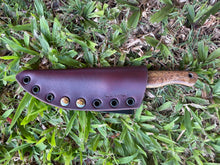 Load image into Gallery viewer, Sketto_Mango wood handle