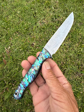 Load image into Gallery viewer, Sketto_Paua handle (B)