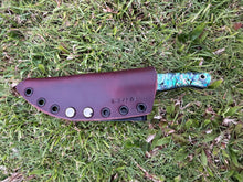 Load image into Gallery viewer, Sketto_Paua handle (B)