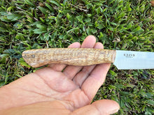 Load image into Gallery viewer, Breakfast Knife_Mango wood handle
