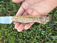 Load image into Gallery viewer, Breakfast Knife_Mango wood handle
