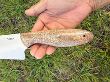 Load image into Gallery viewer, 8"Chef_Mango wood handle (B)
