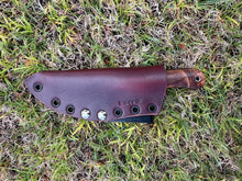 Load image into Gallery viewer, EDC Skinner_Curly Koa wood handle
