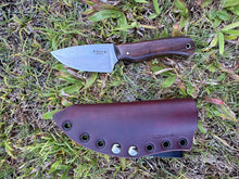 Load image into Gallery viewer, EDC Skinner_KOA wood handle
