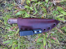 Load image into Gallery viewer, EDC Skinner_KOA wood handle
