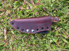 Load image into Gallery viewer, EDC Skinner_Koa wood handle (A)
