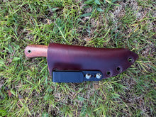 Load image into Gallery viewer, EDC Skinner_Koa wood handle (B)
