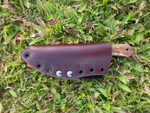 Load image into Gallery viewer, EDC Skinner_Mango wood handle
