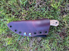 Load image into Gallery viewer, EDC Skinner_Mango wood handle
