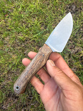 Load image into Gallery viewer, EDC Skinner_Mango wood handle (C)
