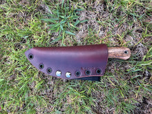 Load image into Gallery viewer, EDC Skinner_Mango wood handle (C)
