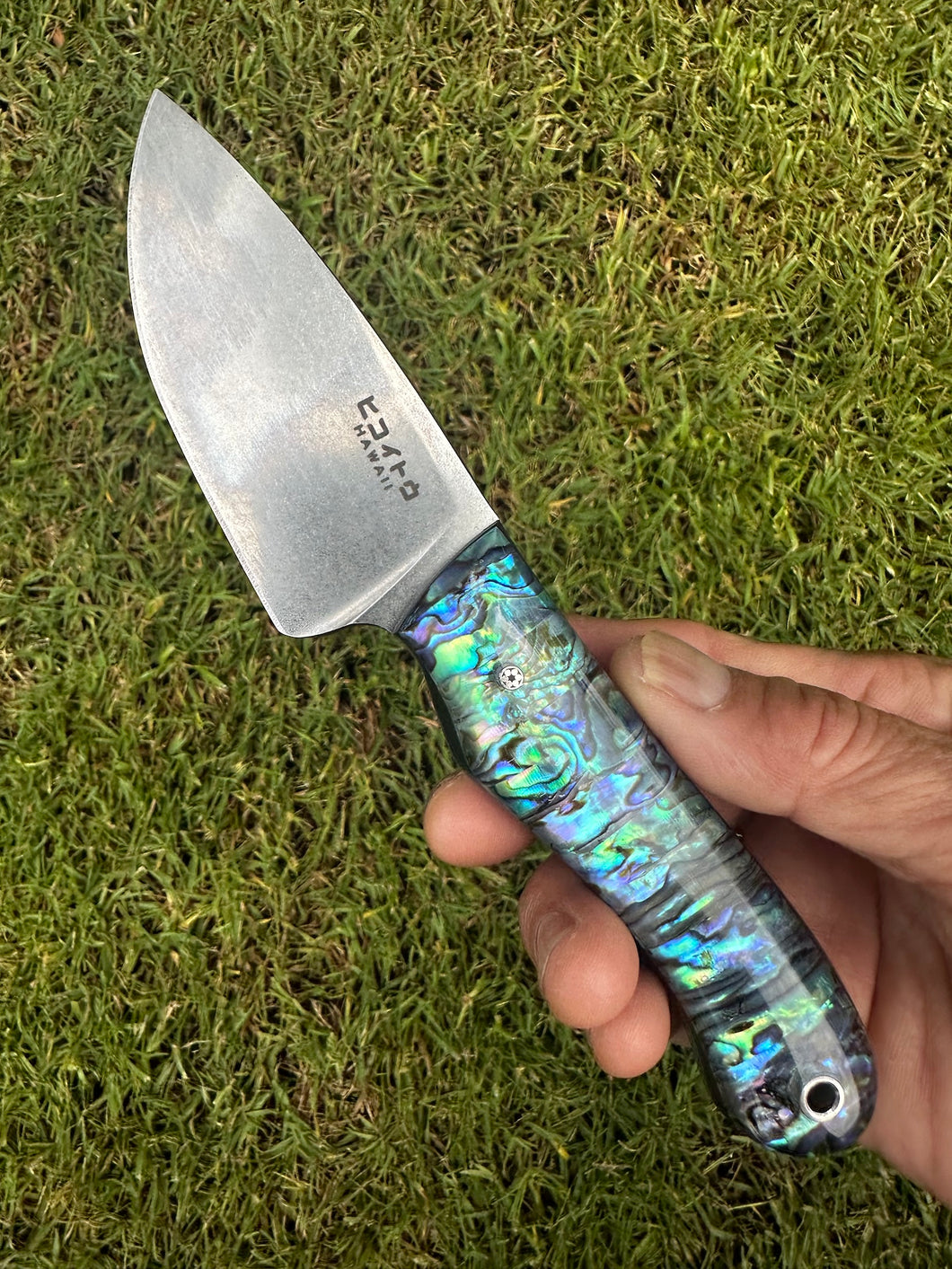 EDC Skinner_Paua handle