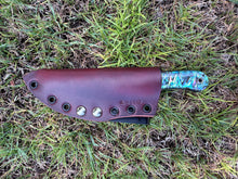 Load image into Gallery viewer, EDC Skinner_Paua handle

