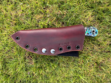 Load image into Gallery viewer, EDC Skinner_Paua handle (B)
