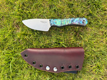 Load image into Gallery viewer, EDC Skinner_Paua handle (C)
