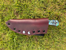 Load image into Gallery viewer, EDC Skinner_Paua handle (C)
