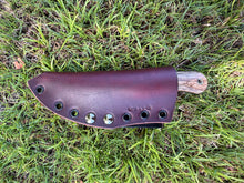 Load image into Gallery viewer, EDC Skinner_Mango wood handle
