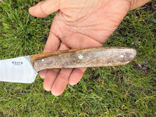Load image into Gallery viewer, Kehau_Mango wood handle (C)
