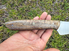 Load image into Gallery viewer, Kehau_Mango wood handle (D)
