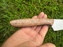 Load image into Gallery viewer, Kehau_Mango wood handle
