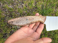 Load image into Gallery viewer, Nakiri_Mango wood handle
