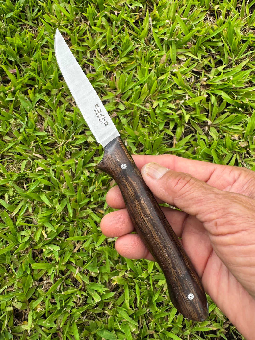 Paring Knife_Koa wood handle