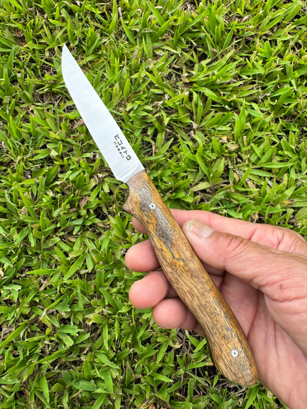 Paring Knife_Mango wood handle